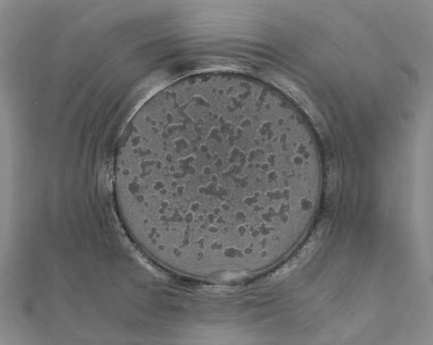 X0000112111377200909011136