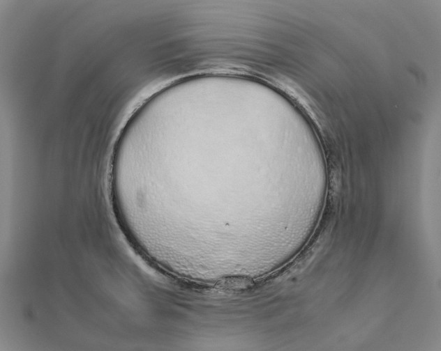 X0000112111379200909011136