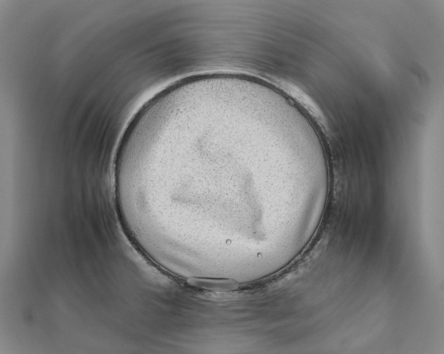 X0000112111380200909011136