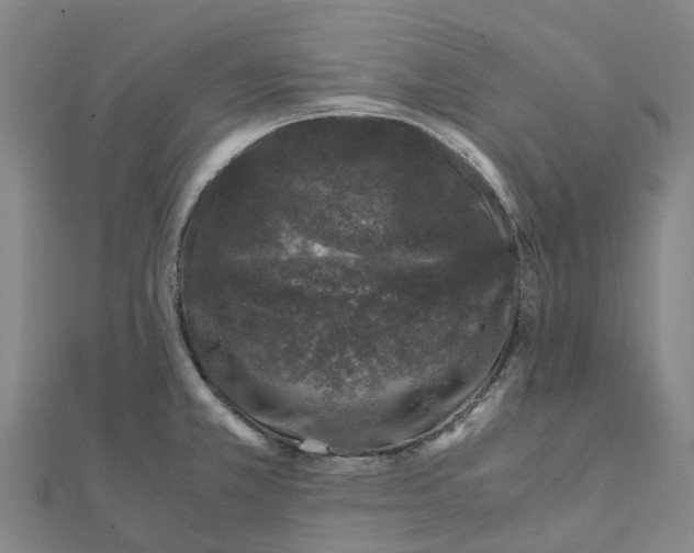 X0000112111381200909011136