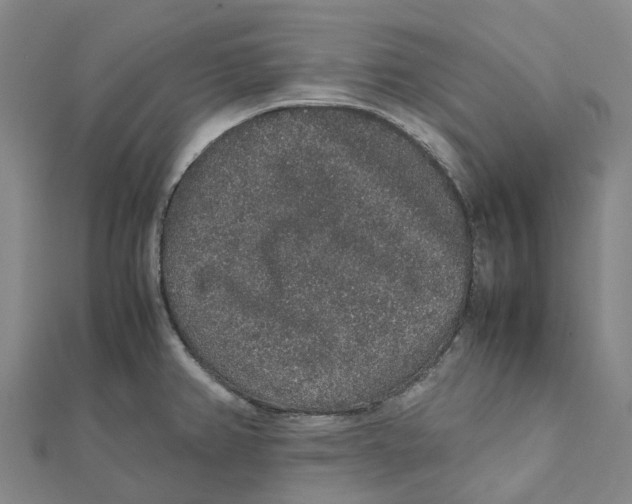 X0000112111382200909011136