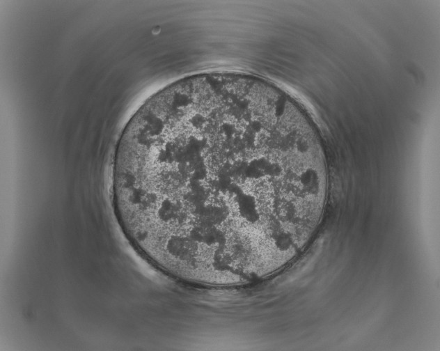 X0000112111383200909011136