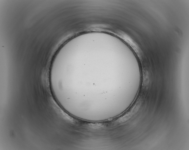 X0000112111384200909011136