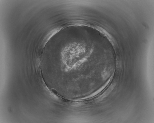 X0000112111385200909011136