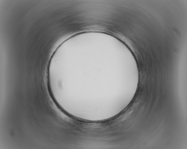 X0000112111387200909011136