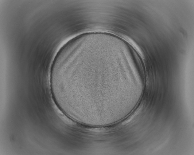 X0000112111388200909011136