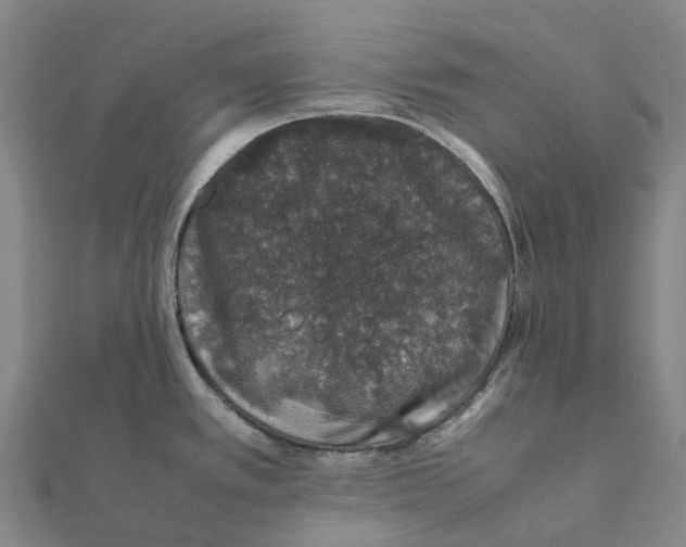 X0000112111389200909011136