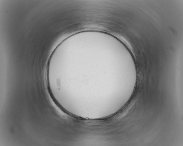 X0000112111391200909011136