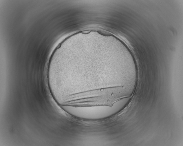 X0000112111392200909011136