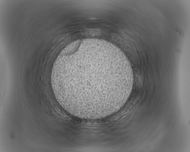 X0000112111393200909011135