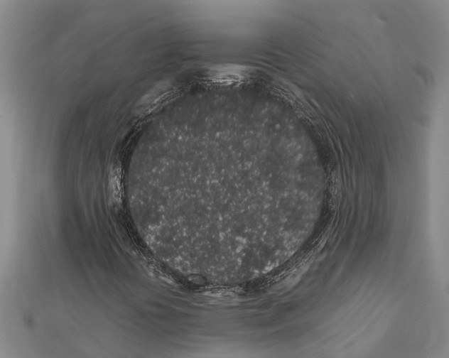 X0000112111394200909011135