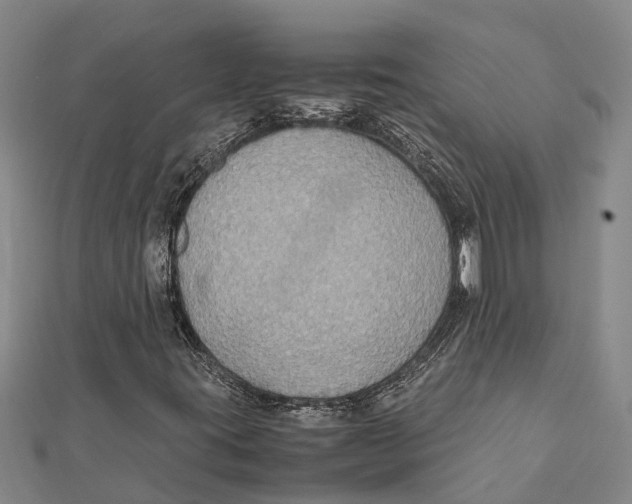 X0000112111395200909011135