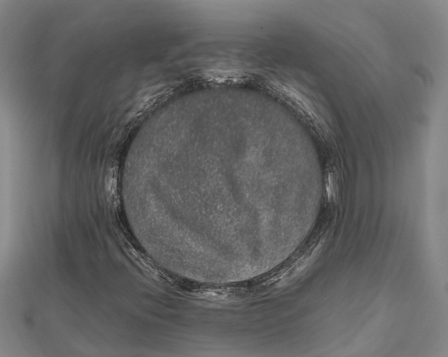 X0000112111396200909011135