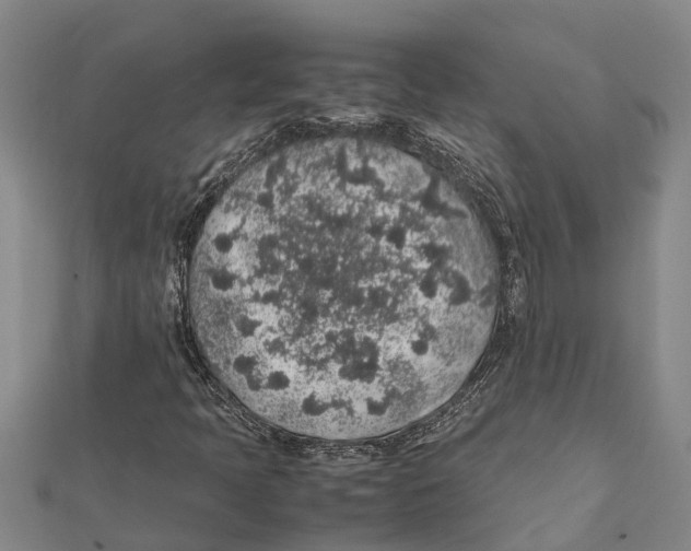 X0000112111397200909011135