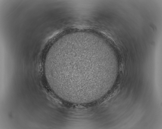 X0000112111398200909011135