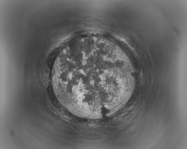 X0000112111399200909011135