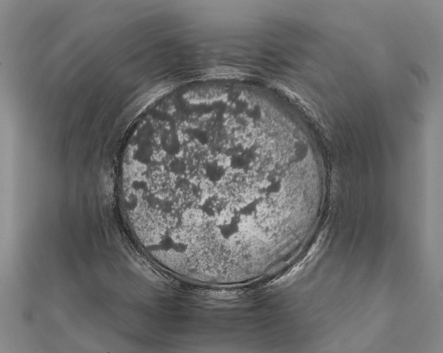 X0000112111401200909011136