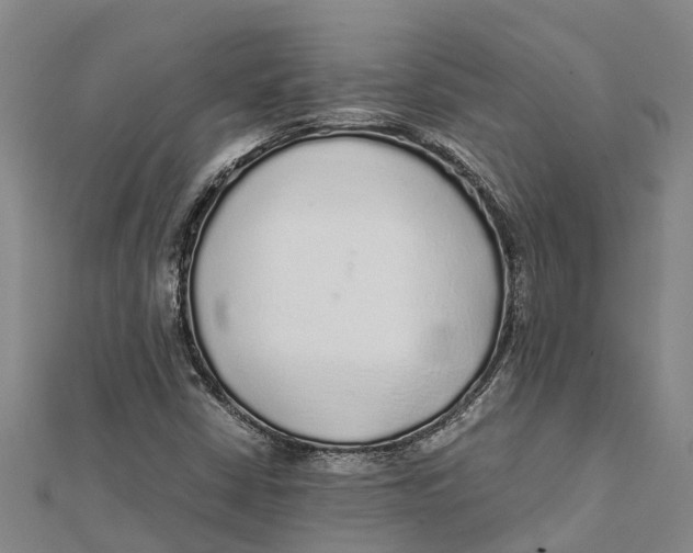 X0000112111402200909011136