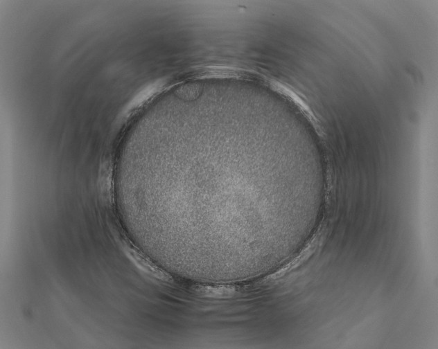 X0000112111403200909011136