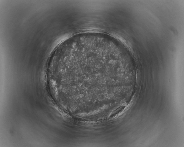 X0000112111405200909011136