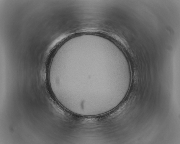 X0000112111406200909011136