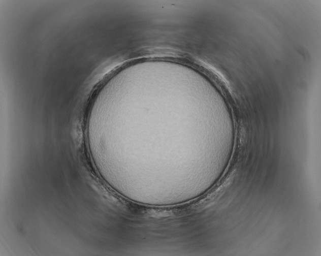 X0000112111407200909011136