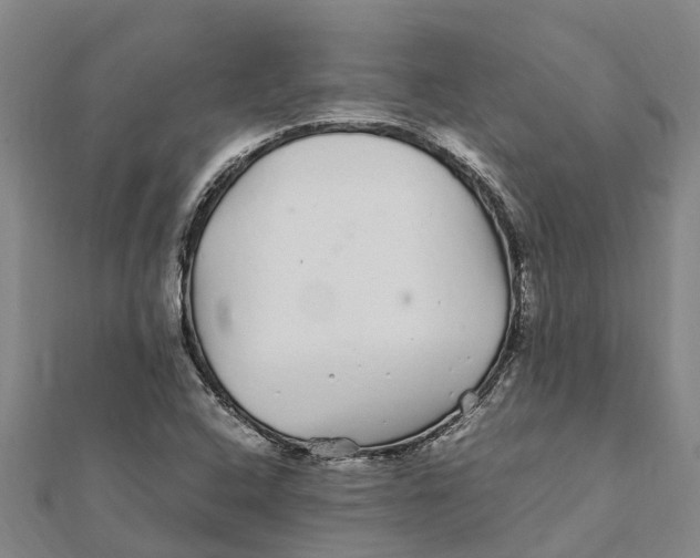 X0000112111408200909011136