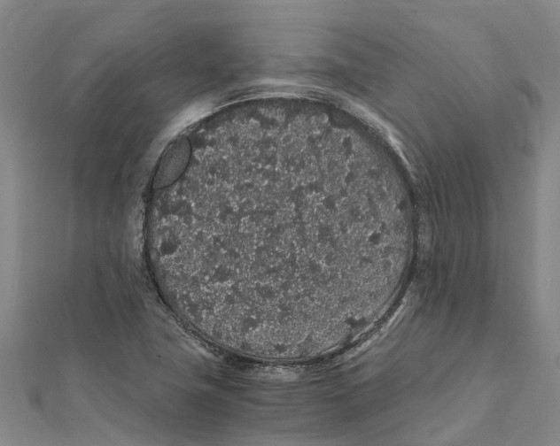 X0000112111411200909011136