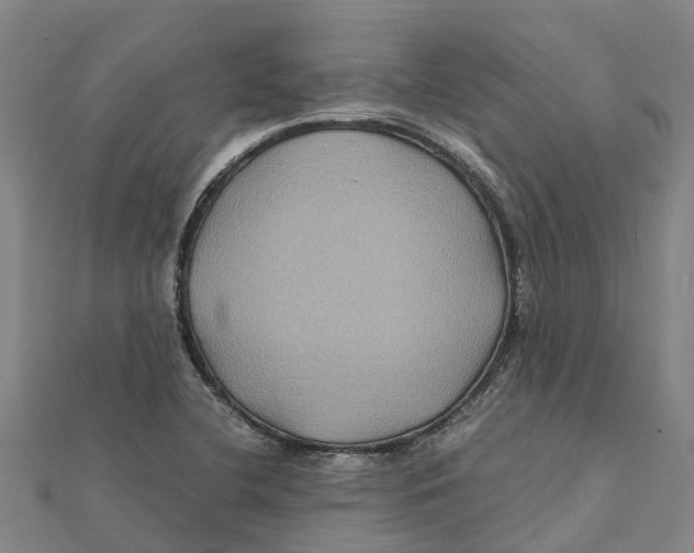 X0000112111412200909011136