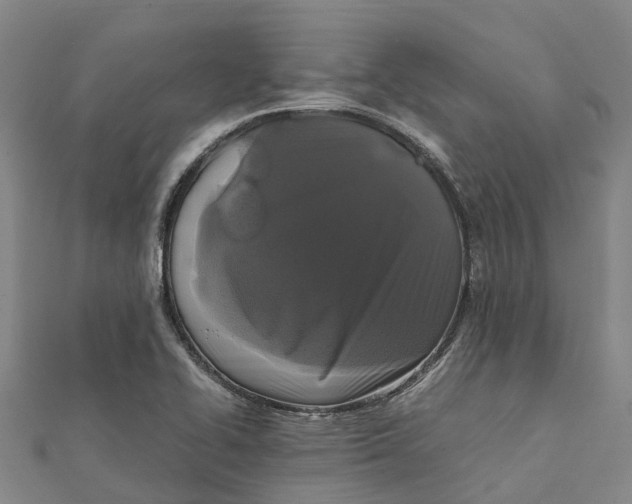 X0000112111414200909011136