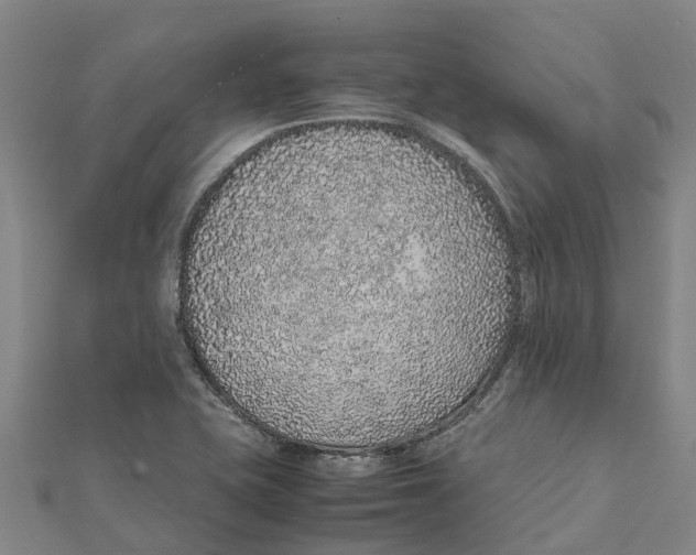 X0000112111415200909011136