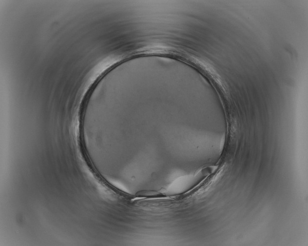 X0000112111418200909011136