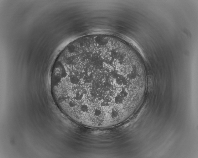 X0000112111419200909011136