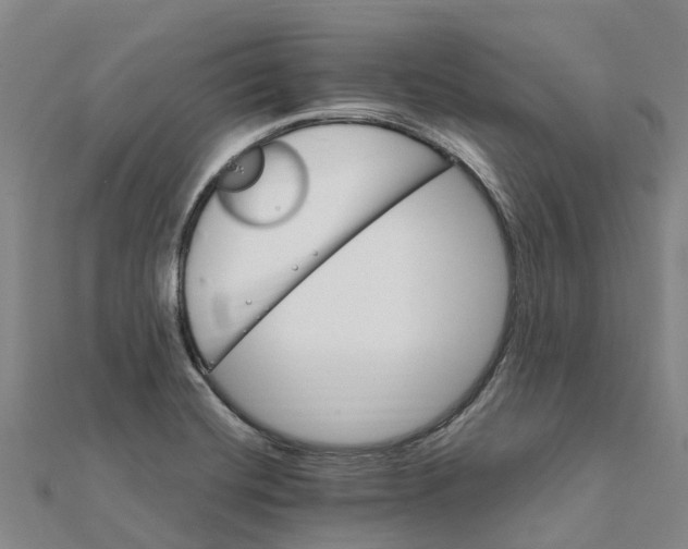 X0000112111420200909011136