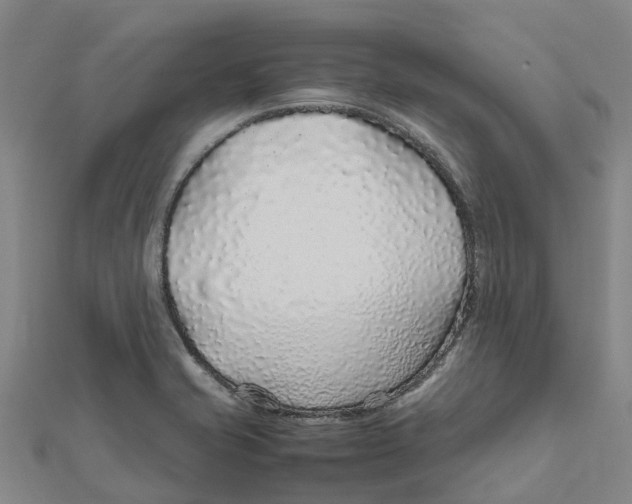 X0000112111421200909011136