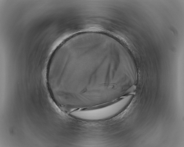 X0000112111422200909011136