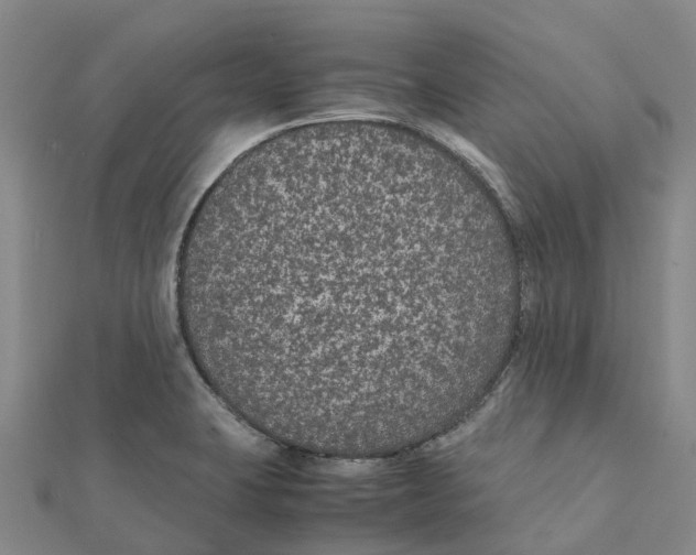 X0000112111423200909011136