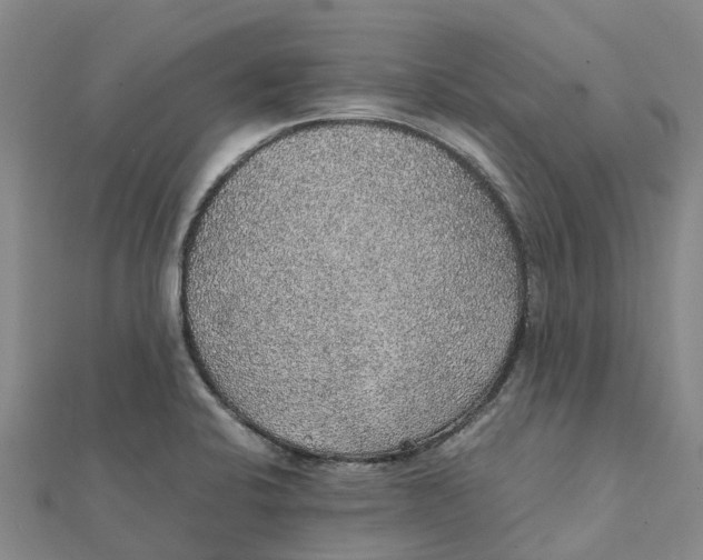 X0000112111424200909011136