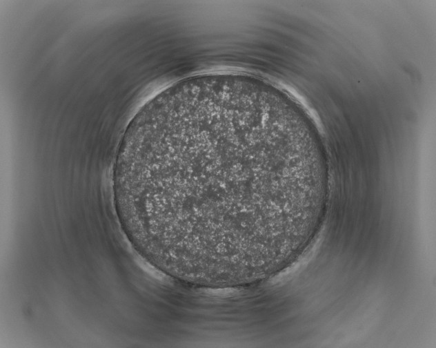 X0000112111425200909011136