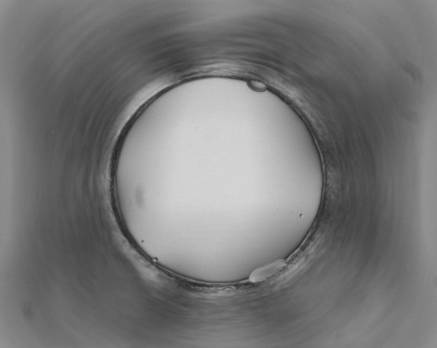 X0000112111426200909011136