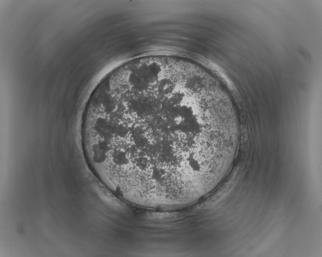 X0000112111427200909011136