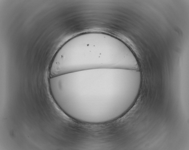 X0000112111428200909011136