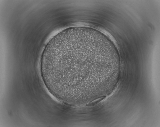 X0000112111429200909011136