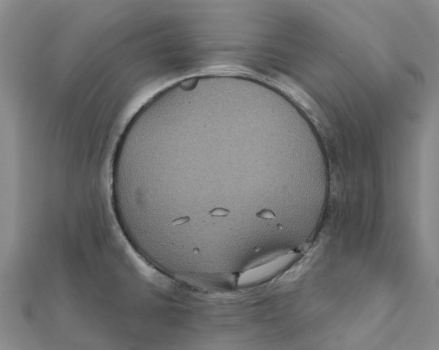 X0000112111430200909011136