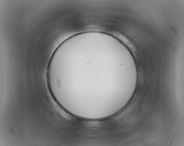 X0000112111431200909011136