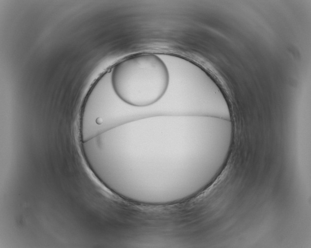 X0000112111432200909011136