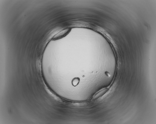 X0000112111433200909011136