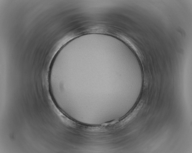 X0000112111434200909011136