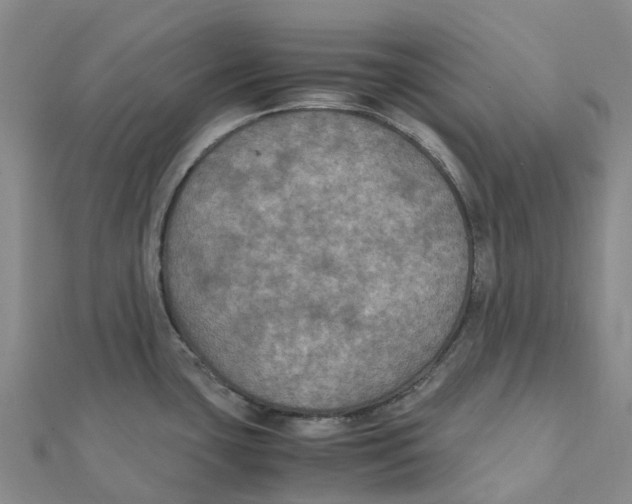 X0000112111435200909011136