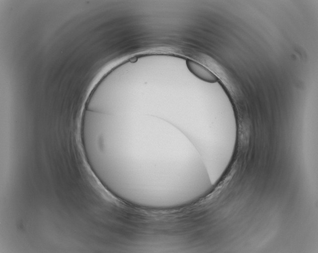 X0000112111436200909011136